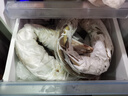 新漁姐 東海直發(fā)水產(chǎn)海釣冷凍特大新鮮海鰻魚 (無冰)  1kg/條 海釣鰻魚 (無冰)  1kg/2條 曬單實拍圖