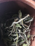 梅伯珍茶葉 福鼎白茶2024年柏柳村花香白牡丹200g口糧茶自喝禮品送人 曬單實(shí)拍圖