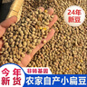 安踏（ANTA）排球初中生中考專用訓練5號標準排球比賽學生專用體考用球 紅藍 曬單實拍圖
