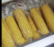 十月稻田 黃糯玉米 3.52斤(220g*8根) 25年新玉米 低脂 早餐零食 東北玉米 曬單實(shí)拍圖