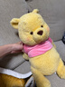 迪士尼（Disney）白日夢系列小熊維尼史迪奇毛絨玩偶公仔禮物兒童生日學(xué)生畢業(yè)禮物 小熊維尼玩偶 曬單實拍圖