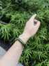京鑒新疆和田玉菠菜綠碧玉手鐲正圈碧玉手鐲老料旺夫玉鐲子玉石附證書(shū) 碧玉手鐲 內(nèi)徑53 曬單實(shí)拍圖