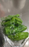 【產(chǎn)地直采】麒麟奶油西瓜1粒4kg 曬單實拍圖