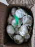 京鮮生山東金鄉大蒜帶皮新鮮干蒜凈重5斤單果5.5cm起 源頭直發(fā)包郵 曬單實(shí)拍圖