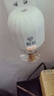 欖菊基孔肯雅熱電蚊香液4瓶+1器 無香型電熱蚊香液電蚊香防蚊驅(qū)蚊液 曬單實(shí)拍圖