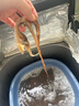 海鼎紀鮮切魷魚須900g 海鮮 燒烤火鍋 鐵板魷魚 300g/包*3包  曬單實拍圖