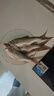 神鯊黑韌魚(yú)竿手竿4.5米超輕超細碳素鯽魚(yú)竿37調釣魚(yú)竿臺釣竿漁具套裝 曬單實(shí)拍圖