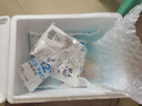 廣州酒家利口福 奶黃包750g 20個 早餐半成品 廣式早茶點心 包子食品速食 面點 曬單實拍圖