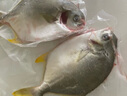 1號會(huì )員店（One's Member）甄選海南二去金鯧魚(yú)去鰓去內臟生鮮魚(yú)類(lèi) 海鮮水產(chǎn) 700g/2條裝 曬單實(shí)拍圖