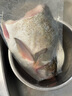 鮮喜愛(ài) 冷凍千島湖有機鰱魚(yú)頭1.5斤 白鰱魚(yú)頭  生鮮魚(yú)類(lèi) 海鮮水產(chǎn) 曬單實(shí)拍圖