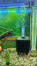 YEE魚(yú)缸水妖精內(nèi)置三合一增氧水循環(huán)反氣舉氧氣泵魚(yú)缸過(guò)濾器中號(hào) 曬單實(shí)拍圖