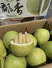 臺灣老樹(shù)麻豆文旦柚子【順豐到家】百年老欉樹(shù)種當季新鮮水果 原箱禮盒 12斤 9-13個(gè) 百年老樹(shù)果 曬單實(shí)拍圖