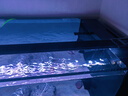 吉印三湖慈鯛魚燈鯛魚觀賞魚專用發(fā)色燈藍色增艷專業(yè)防水燈led燈顯色 143cm 功率39.5W適用143-155cm缸 曬單實拍圖