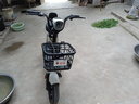 立馬電動(dòng)自行車小叮當(dāng)70公里長續(xù)航電動(dòng)車鉛酸電池48V20Ah電瓶車全國可上牌新國標(biāo)  奶茶白 曬單實(shí)拍圖