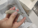 GUO LIAN國聯(lián) 生鮮鹽凍大蝦 無冰凈重3斤 鹽凍特大號45-60只 海產(chǎn)冷凍蝦 曬單實拍圖