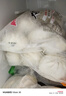 南翔大肉包1kg(10只) 中華老字號肉包子速凍早餐食品半成品早飯面點(diǎn) 曬單實(shí)拍圖