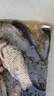 龍王恨2025新款藍鯽優(yōu)+釣魚(yú)餌料野釣鯽魚(yú)草魚(yú)鯉魚(yú)黑坑競技通殺窩料餌料 一袋裝【迅速上魚(yú)】 曬單實(shí)拍圖