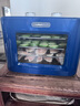 摩飛電器（Morphyrichards） 干果機(jī)烘干機(jī)食品家用風(fēng)干機(jī)水果蔬菜肉類(lèi)寵物零食雞肉干牛肉干果干機(jī)小型電烤箱MR6255 輕奢藍(lán) 8L 曬單實(shí)拍圖