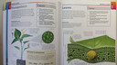 生物學(xué) 英文原版 DK-Supersimple: Biology 動(dòng)植物 科普讀物 DK 曬單實(shí)拍圖
