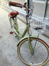 飛鴿（FLYING PIGEON）自行車成人通勤車自行車學(xué)生單車成人自行車通勤自行車女士自行車 標(biāo)配青青黃|單速|(zhì)輻條輪+禮包 24寸適合150-170cm 曬單實拍圖