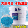 A30KY游泳池除藻劑硫酸銅滅藻劑水上樂(lè )園綠水殺藻劑除綠藻青苔藥景觀(guān)池 【增效型】泳池除藻劑2.5kg/桶 曬單實(shí)拍圖