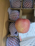 花牛 天水花牛蘋(píng)果 TIANSHUI HUANIU APPLE 當季現摘粉面紅蘋(píng)果 新鮮水果整箱 孕婦 寶寶輔食 團購送禮 蛇果 5斤裝（凈果4.5-5斤）優(yōu)選果 曬單實(shí)拍圖