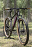 崔克（TREK）山地車 MARLIN 7 輕量升降座桿氣壓前叉油壓碟剎越野山地自行車 啞光黑色/透明亮面潑濺 直郵到家 ML（建議身高173-180CM） 12速 曬單實(shí)拍圖