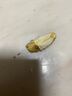 鮮級佳大涼山新鮮濕核桃去青皮嫩核桃老樹薄紙皮核桃孕婦專用生核桃新貨 凈重5斤【去青皮】送夾子 曬單實拍圖