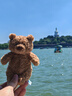 Jellycat巴塞羅熊動物毛絨玩偶兒童安撫公仔小熊潮玩生日七夕情人節(jié)禮物 巴塞羅熊 Tiny 曬單實(shí)拍圖