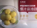 樂肴居爆汁流沙包600g 20個 兒童速食早餐半成品 奶黃包子 即食早茶點心 曬單實拍圖
