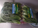 【富硒】小油菜200g 曬單實拍圖