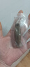 遼參大連有機冷凍海參1斤19-21只非即食京東自營(yíng)旗艦店獨立包裝正品 曬單實(shí)拍圖