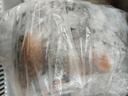 春雨風(fēng)華 新西蘭半殼青口貝 凈含量 907g 原裝進(jìn)口 源頭直發(fā) 包郵 曬單實(shí)拍圖