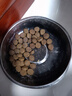 愛(ài)肯拿（ACANA）狗糧 全價(jià)通用 幼犬成犬牧場(chǎng)盛宴無(wú)谷高蛋白犬糧2kg 效期26/2 曬單實(shí)拍圖
