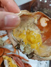 【膳富貴黃油蟹】廣東奄仔蟹 腌仔蟹初手黃油蟹鮮活活蟹青蟹 【奄仔蟹】3-3.5兩/只 150g + 1只裝-【嘗鮮精選】 曬單實(shí)拍圖