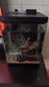 米家智能桌面魚(yú)缸小米生態(tài)魚(yú)缸小型智能專(zhuān)業(yè)背濾一體缸自循環(huán) 曬單實(shí)拍圖