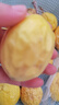 廣西欽蜜9號黃金百香果萬(wàn)澄當季新鮮大果黃皮果奶茶店水果 【1斤 約11-17個(gè)】單果30-45g 曬單實(shí)拍圖