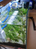 魚缸除藻去苔劑綠藻青苔凈水清除劑專用綠水褐藻絲黑毛藻 2L凈水王【凈化水質(zhì)清澈見底】 曬單實拍圖