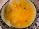 京盟主特小鳳西瓜新鮮水果當(dāng)季現(xiàn)摘冰淇淋黃瓤甜瓜薄皮黑籽整箱 2顆裝【單果2.5-3斤左右】 曬單實(shí)拍圖