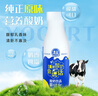 清藍 原味酸奶300ml*15瓶 風(fēng)味酸牛奶營(yíng)養早餐酸奶飲品DIY水果撈飲料 曬單實(shí)拍圖