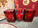 女兒紅醬酒 女兒紅 紅醬 醬香型白酒 婚宴喜酒 滿月百天周歲封酒 送禮聚會 53度 500mL 1瓶 單瓶裝 曬單實(shí)拍圖