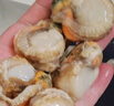 初鮮大號冷凍帶黃扇貝肉凈重2斤約80-120顆燒烤火鍋食材海鮮水產(chǎn)聚餐 曬單實(shí)拍圖