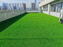 清雅仿真草坪隔音墊子假草皮屋頂陽臺(tái)隔熱防滴水聲空調(diào)外機(jī)雨棚假草坪 3cm加密款消音草(1米寬*1米長(zhǎng)) 曬單實(shí)拍圖