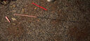臻佑（Grsaed）兒童魚竿套裝小孩初學(xué)專用釣魚竿釣蝦釣蟹小物竿1.8m小萌兔粉 曬單實(shí)拍圖