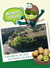 佳沛（zespri）綠果 優(yōu)選果12粒單果113-135g  中秋水果禮盒 獼猴桃 曬單實拍圖