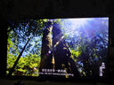 創(chuàng)維電視75A5F+ 75英寸同級(jí)唯一低返+防眩的Mini LED電視黑騎士 4K智能液晶平板電視機(jī) 家電國(guó)家補(bǔ)貼 75英寸 【新品】官方標(biāo)配 一級(jí)能效 咨詢客服主播減20% 曬單實(shí)拍圖