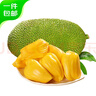 京鮮生海南老樹菠蘿蜜 20-25斤裝 凈重20斤+  生鮮水果 源頭直發(fā) 曬單實(shí)拍圖