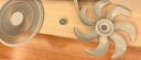 艾美特（AIRMATE）【重磅新品】七葉家用大風(fēng)量落地扇電風(fēng)扇臺(tái)式桌面空氣循環(huán)小風(fēng)扇大角度搖頭節(jié)能電扇 FS30-X97 曬單實(shí)拍圖
