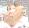 原始黃金駱駝奶粉1罐330g新疆正宗益生菌無(wú)蔗糖中老年成人奶粉高鈣駝乳粉 曬單實(shí)拍圖