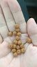 DL 1998胖東來品質(zhì)小金剛手串印尼菩提108顆念珠男士盤玩佛珠菩提子文玩 樹王素珠小金剛(108顆+6顆) 8mm 曬單實(shí)拍圖